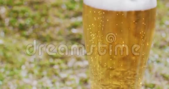 清爽的冰啤酒或啤酒视频的预览图