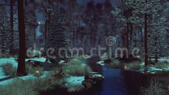 暗冬森林4K的超自然精灵灯光视频的预览图