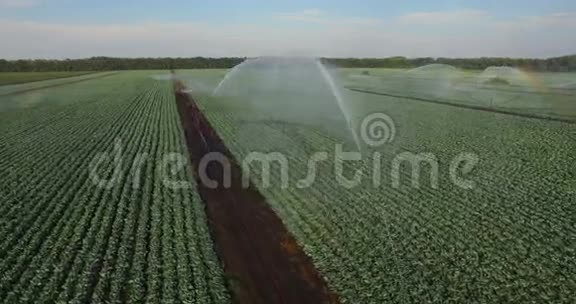 灌溉系统灌溉一片农田视频的预览图