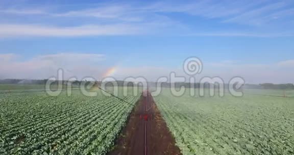 灌溉系统灌溉一片农田视频的预览图
