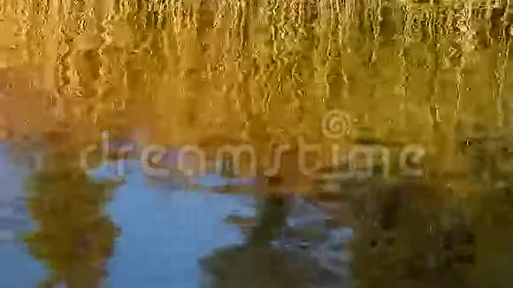 水表面的波纹曲折效应视频的预览图