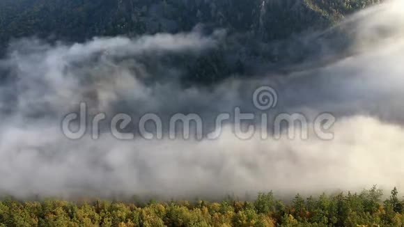 黎明时分的雾在山间流动的时光流逝的影像视频的预览图