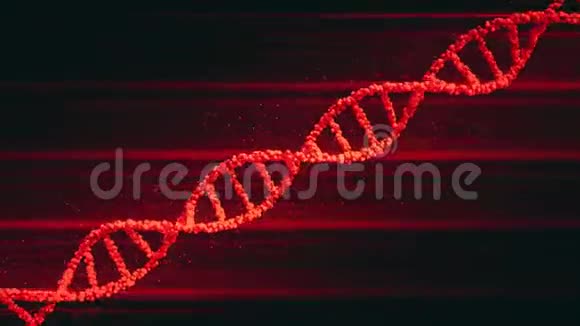 旋转红色DNA分子模型可循环三维动画视频的预览图