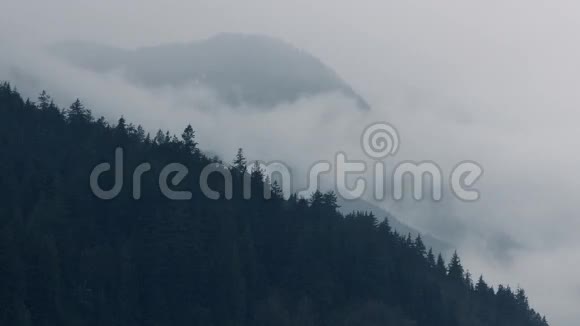 雾在森林山畔移动视频的预览图
