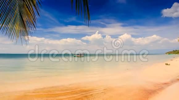 相机移动从AzureSea到金沙滩与棕榈视频的预览图