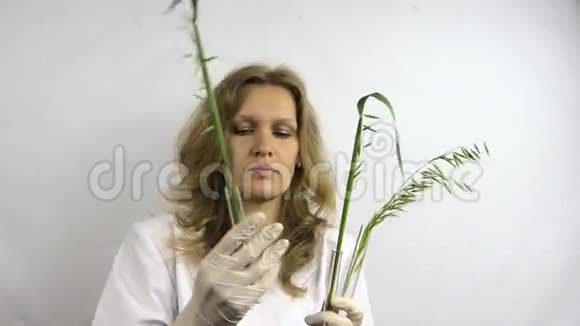 科学家女性研究用改良燕麦植物烧瓶视频的预览图