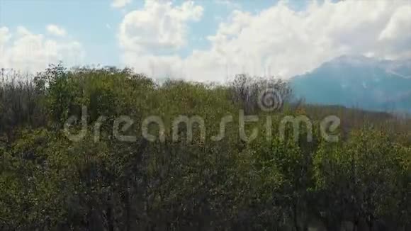阿尔兰博布是一个山谷山脉和一个大型野生核桃森林在贾拉拉巴德阿里尔德伦射击视频的预览图