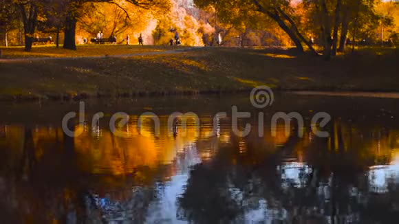 秋天公园里的湖五颜六色的树映在水中视频的预览图
