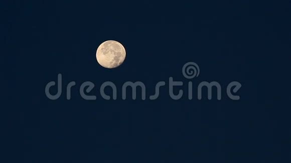 月亮定在清晨视频的预览图