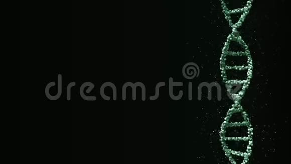旋转绿色DNA分子模型可循环三维动画视频的预览图