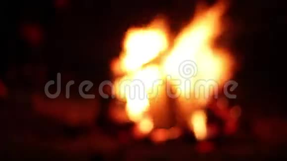 黑暗中的篝火火焰和木头视频的预览图