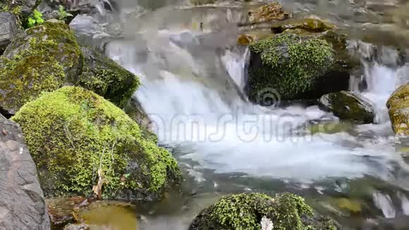 溪流流过岩石视频的预览图