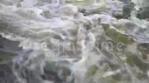 河水在白天流淌在树林中俯视视频的预览图