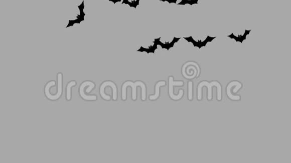 一群蝙蝠从一边飞到另一边的阿尔法通道视频的预览图