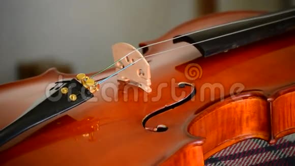 在Luthier工作场所将琴弦与古典小提琴相连接视频的预览图