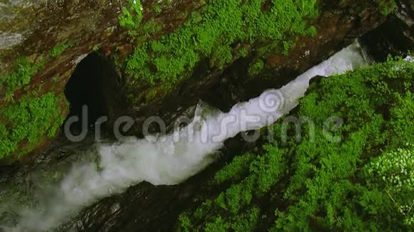 河流在被绿色植物覆盖的山石之间流动干净的水飞溅小溪大自然视频的预览图
