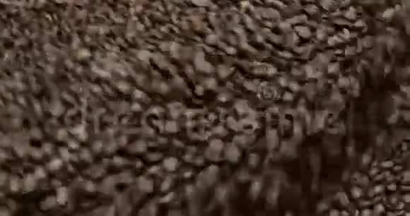 一个工厂车间混合冷却单元平台上的烘焙咖啡豆特写视频的预览图