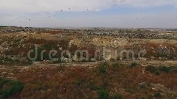 鸟飞过大城市垃圾倾倒乌克兰视频的预览图