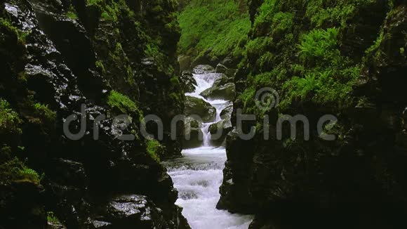 溪流流过两座被许多绿色植物覆盖的山脉夏日景观自然飞溅视频的预览图