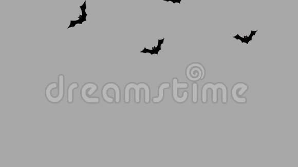 卡通蝙蝠从一边飞到另一个阿尔法频道视频的预览图