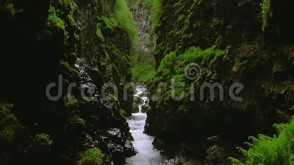 溪流流过两座被许多绿色植物覆盖的山脉夏日景观大自然视频的预览图