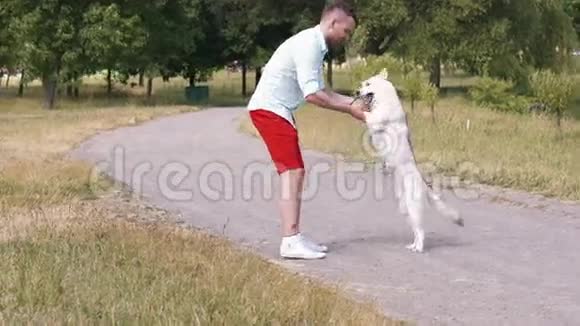 公园里的人和他的狗哈士奇狗视频的预览图