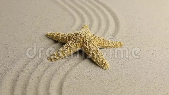 黄色海星躺在起伏的沙滩上视频的预览图