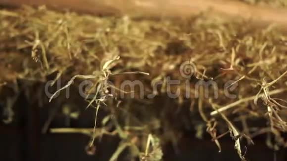 一堆稻草堆在黑暗的谷仓里视频的预览图