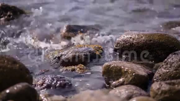 黑海沿岸清澈的海水视频的预览图