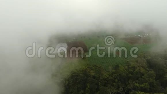雾中群山中的农田印度尼西亚贾瓦岛视频的预览图