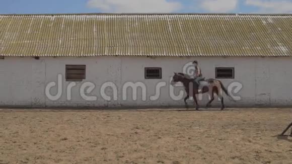 骑马女孩骑着漂亮的马骑在鬃毛上视频的预览图