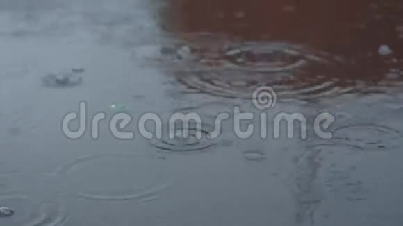 雨滴荡漾视频的预览图