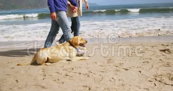 成熟的夫妻在海滩上散步视频的预览图