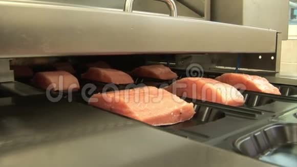 真空包装红鱼鲑鱼鲑鱼粉红色鲑鱼海鲜加工厂视频的预览图