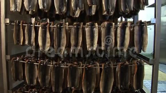 鱼类加工厂冷热熏鱼视频的预览图