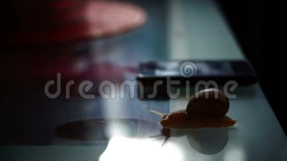 咖啡桌上的蜗牛咖啡杯坐在相框里视频的预览图