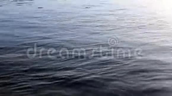 闪亮的蓝色多瑙河水面视频的预览图