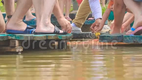 游客双脚踩着木板人行道双手在湖中喂鱼视频的预览图