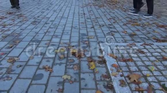 工人用吹叶机清理街道上的秋叶视频的预览图