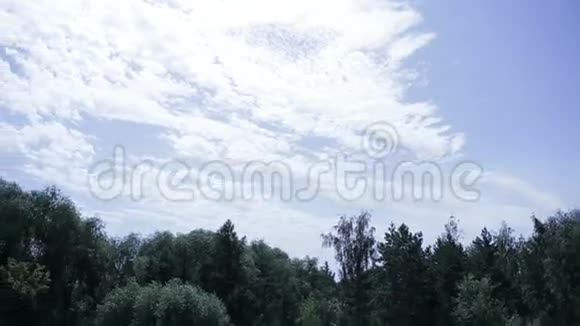 木对抗晴空万里的蓝天视频的预览图