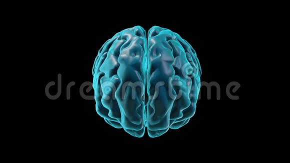 大脑颞叶三维部分视频的预览图