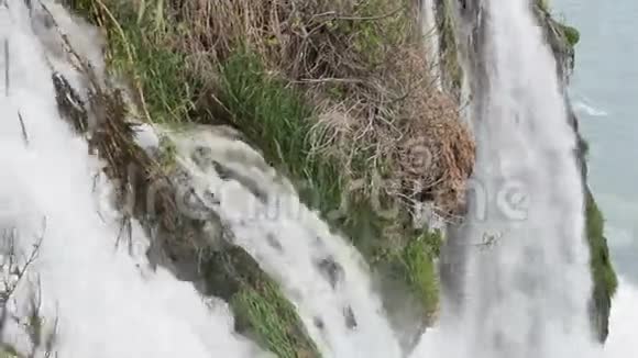 高山瀑布有树木和草的夏季景观视频的预览图