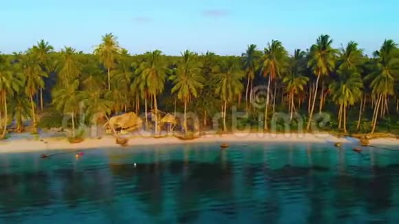 空中侧移棕榈树沿着巴拉望的坎达拉曼岛海岸排列视频的预览图