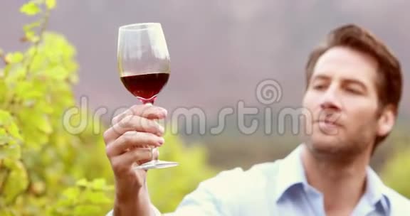 年轻的酿酒师看着闻着葡萄酒视频的预览图