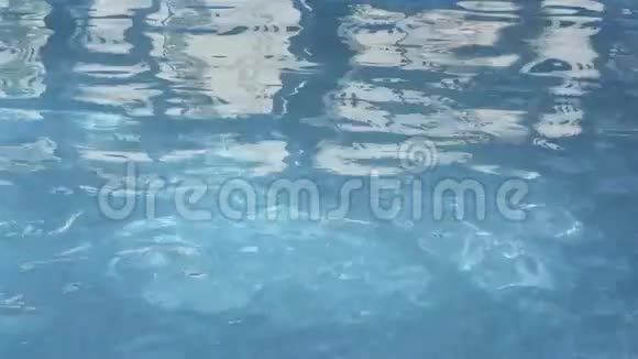 池中的水视频的预览图