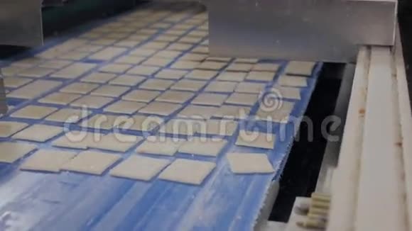 饼干传送带上的饼干烘焙产品的机械化生产视频的预览图