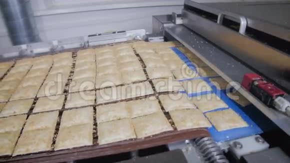 饼干传送带上的饼干烘焙产品的机械化生产视频的预览图