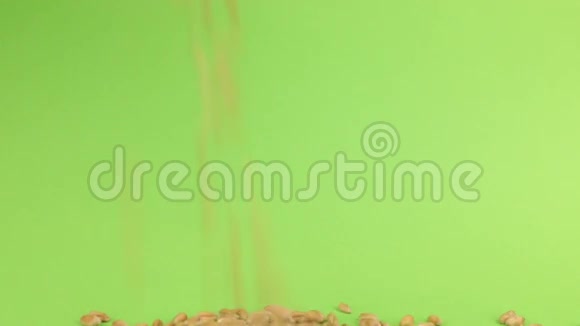 落在绿色屏幕上的麦堆上的谷物小麦视频的预览图