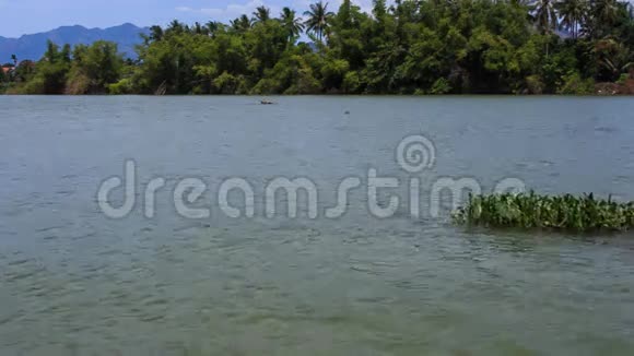 热带河景棕榈树对岸小岛视频的预览图