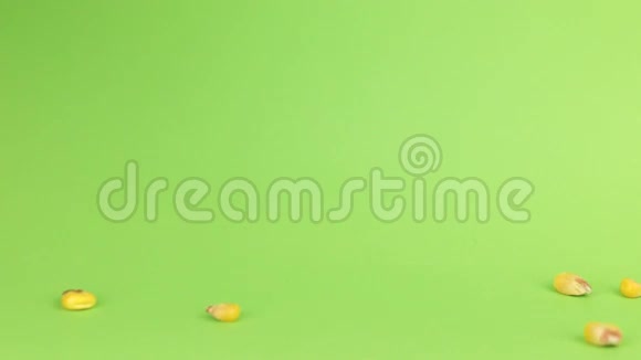 在绿色屏幕上玉米堆上掉落的谷物视频的预览图